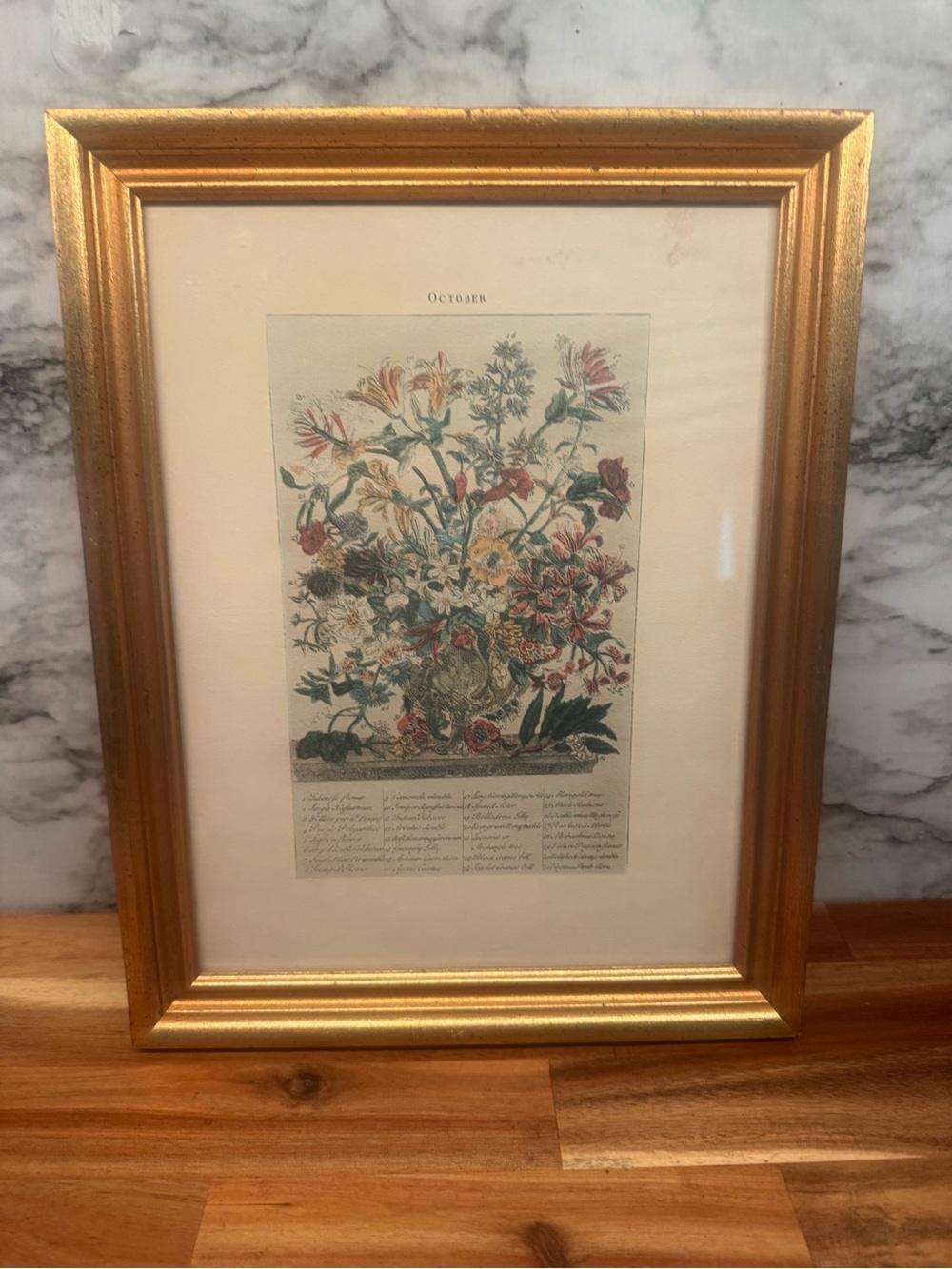 Gold Framed Botanical Print - Floral Illustration